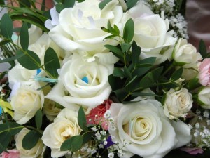 white-roses-pd-300x225